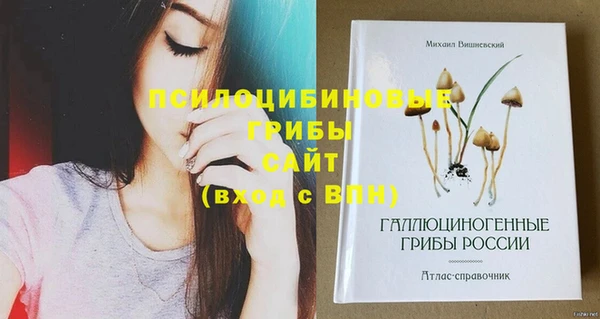 прущий лед Гусь-Хрустальный