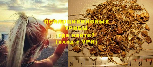 мескалин Гусиноозёрск
