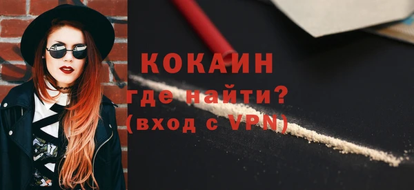 таблы Гусев