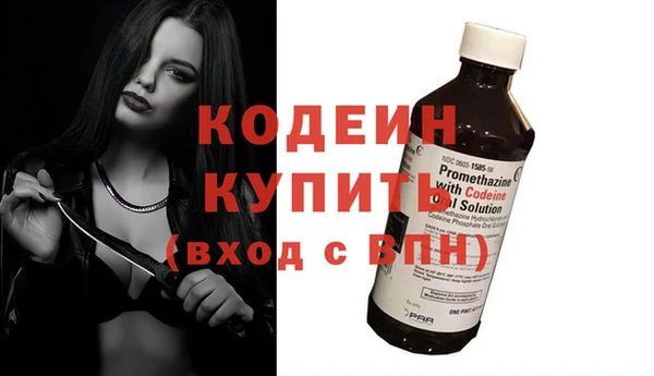 таблы Гусев