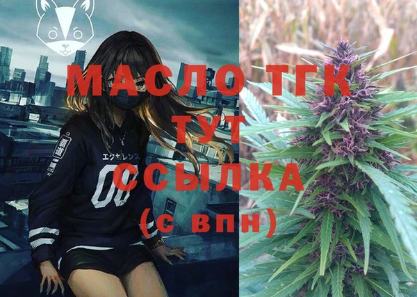 таблы Гусев