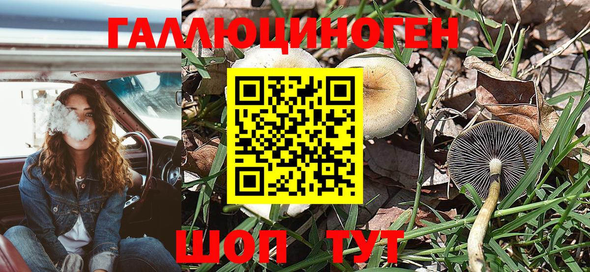 Реутов  Псилоцибиновые грибы мухоморы  где можно купить наркотик  Вход с VPN 