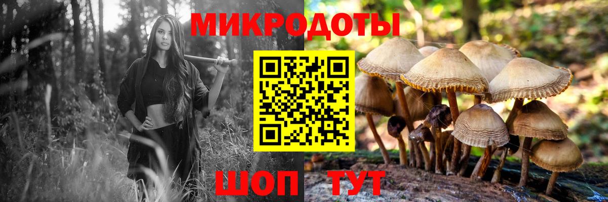 Галлюциногенные грибы ЛСД Реутов